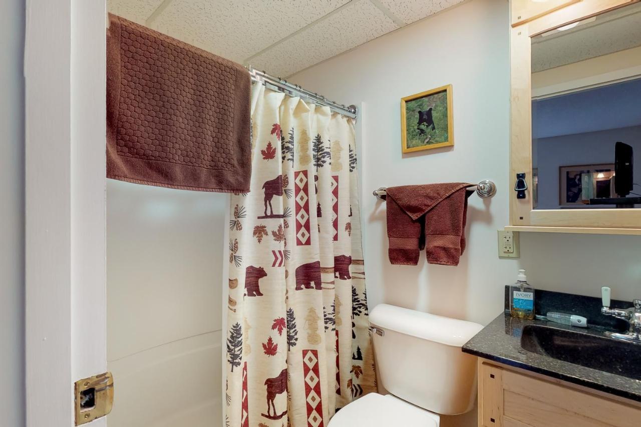 Squaw Village Condo Greenville Rum bild